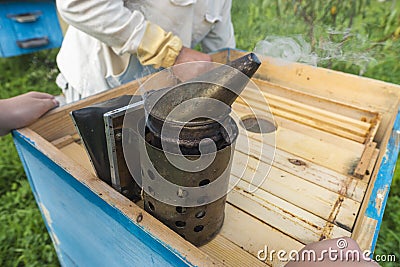 Life of bees. Worker bees. The bees bring honey. Stock Photo