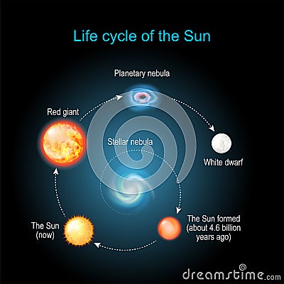 Life cycle of The Sun Vector Illustration