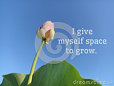 Life inspirational and motivational quote - I give myself space to grow. Words of wisdom. Note to self. Self love care. Stock Photo