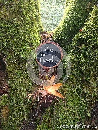 Life is lovely affirmation Stock Photo