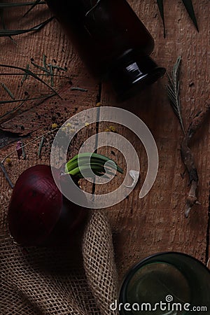 Life of onions, objects Stock Photo