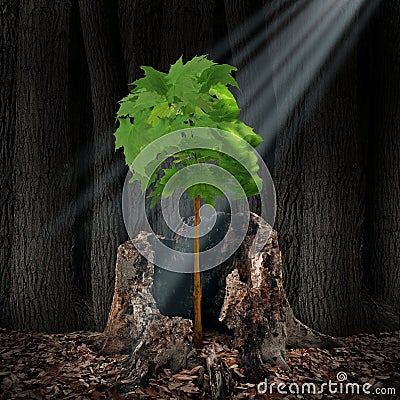 Life Renewal Stock Photo