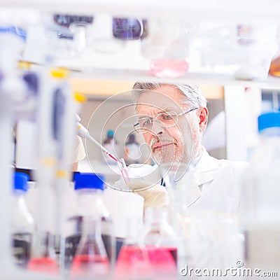 Life scientist researching in the laboratory. Stock Photo