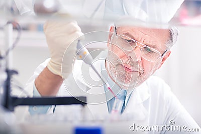 Life scientist researching in the laboratory. Stock Photo