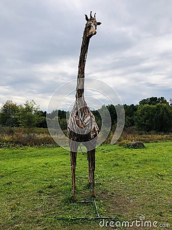 a life size giraffe, made out of recycled metal objects Editorial Stock Photo