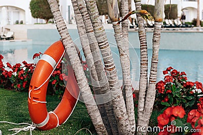 Lifebuoy standing next to the swimming pool Stock Photo