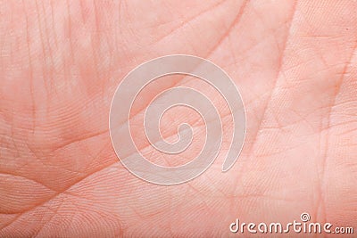 Lifeline macro on male hand Stock Photo