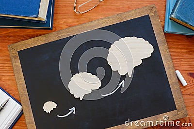 Lifelong or continuous learning concept. Brains on the blackboard. Stock Photo