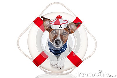 Lifesaver dog Stock Photo