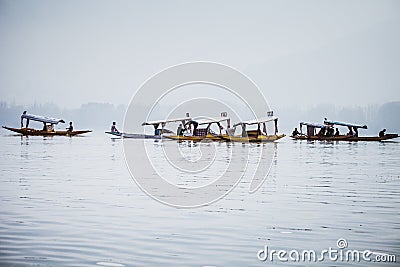 Lifestyle in Dal lake, local people use `Shikara`, a small boat Editorial Stock Photo