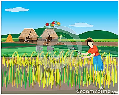 Lifestyle of farmer Vector Illustration