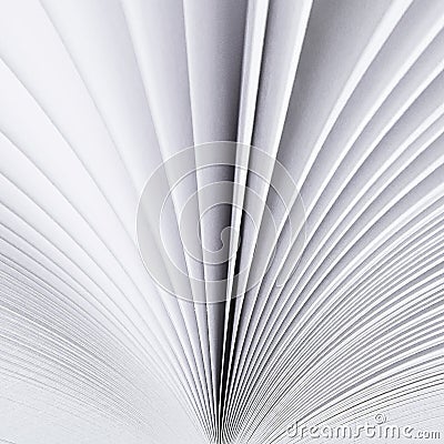 A light background from the white pages of a white open book Stock Photo