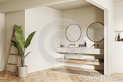 Light bathroom interior with washbasins and accessories. Mockup wall Stock Photo