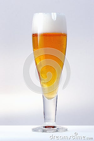 Light beer in a tulip glass Stock Photo