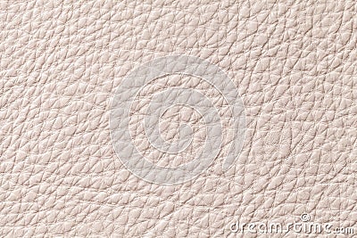 Light beige beige leather texture background with pattern, closeup. Stock Photo