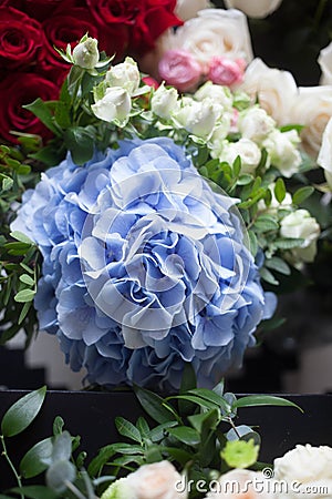 Light blue hydrangea and white roses. The bride`s bouquet. Mother`s Day and March 8 Stock Photo