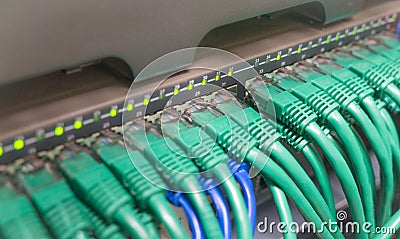 Light blue patch cord internet cables Stock Photo