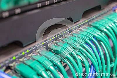 Light blue patch cord internet cables Stock Photo