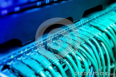 Light blue patch cord internet cables Stock Photo