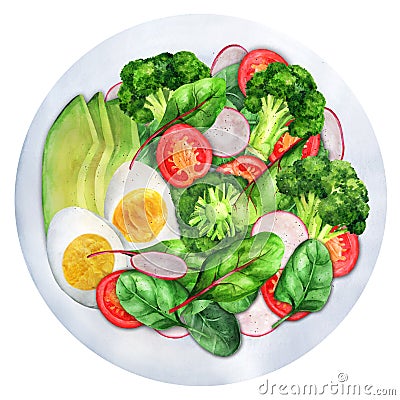 Light salad broccoli, tomatoes, radish, avocado and boiled eggs 2 Cartoon Illustration