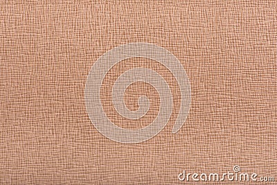 Light brown hazel embossed leather texture background Stock Photo