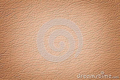 Light brown leather texture background, closeup. Coral cracked backdrop from wrinkle skin Stock Photo