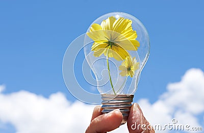 Light bulb with beautiful flower inside Stock Photo