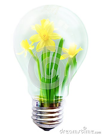 Light bulb with flower inside Stock Photo