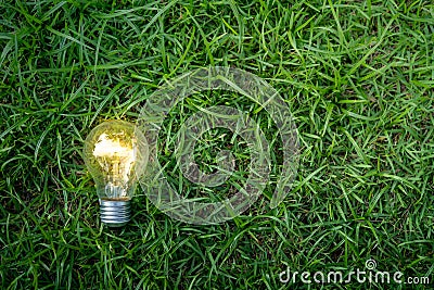 Light bulb on green grass background. Stock Photo