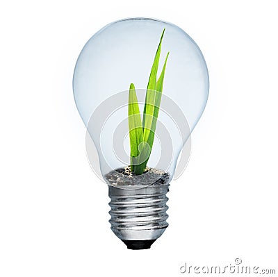 Light bulb and green sprout inside Stock Photo