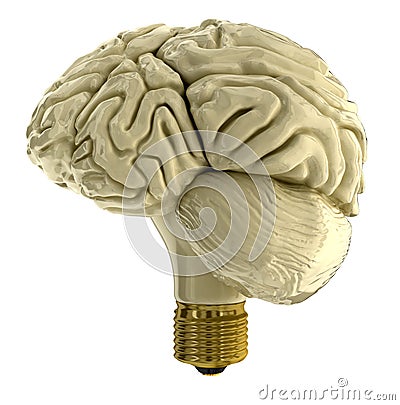 Light bulb human brain Stock Photo