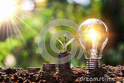 light bulb on soil with young plant growing on money stack. saving finance and energy Stock Photo
