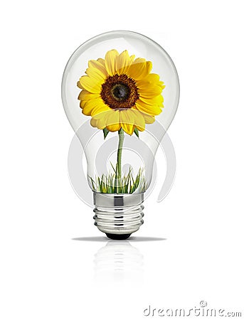 Light bulb with sunflower and glass inside Stock Photo