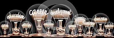 Light Bulbs with Career Development Concept Stock Photo