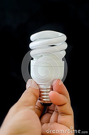 Light bulbs Stock Photo