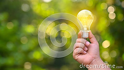 Light bulbs shining on the green grass, renewable energy and nature conservation concepts Stock Photo