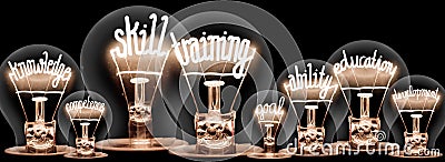 Light Bulbs with Skill Training Concept Stock Photo