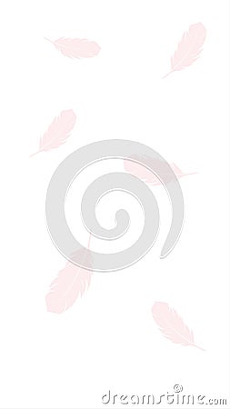 light colored chicken feathers as background Stock Photo