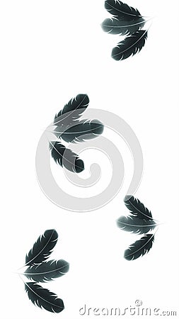 light colored chicken feathers as background Stock Photo