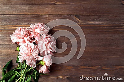 Light coral color peony flowers bouquet on wood table. with copy space for your text top view and flat lay style Stock Photo