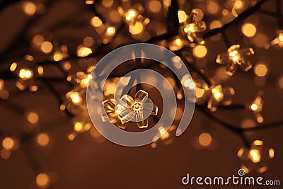 Light decorative a tree for room Stock Photo
