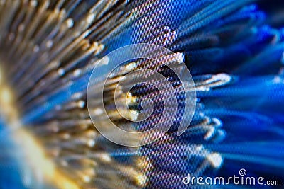 Light emitting diodes for LED display. Digital LED screen background Stock Photo