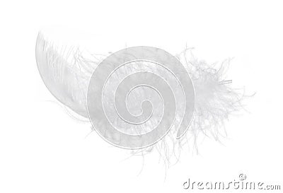 Light fluffy feather isolated on white background. Stock Photo