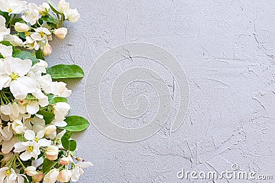 Light gray concrete base with branches of a blossoming apple / pear tree. Top view, product background, mock-up Stock Photo