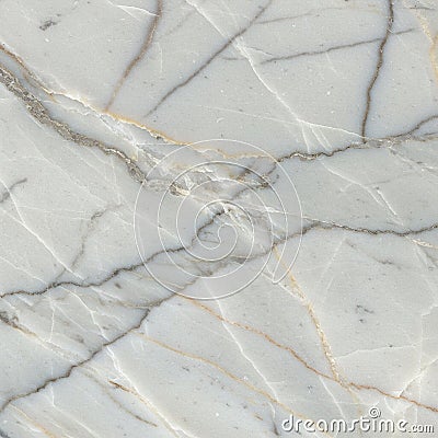 Light gray marble surface with intricate veining patterns in darker gray and subtle hints Stock Photo