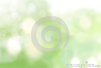 Light green background beautiful bokeh Stock Photo