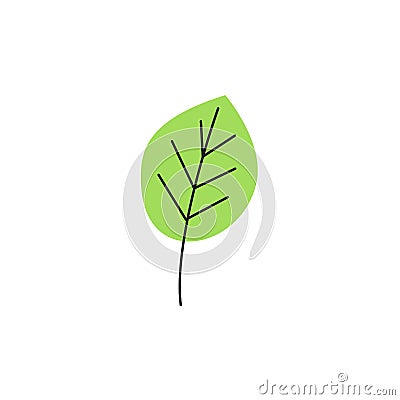 Light green birch leaf isolated on white background Vector Illustration