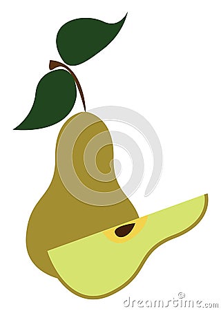 A light green color pear, vector or color illustration Vector Illustration