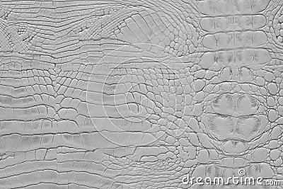 Light grey color animal snake print texture leather background Stock Photo