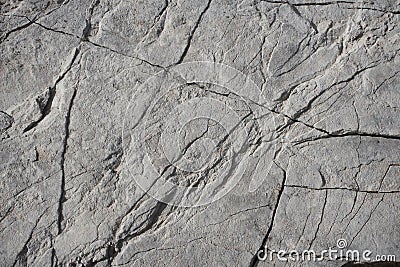 Light grey rock texture background with cracked surface Stock Photo